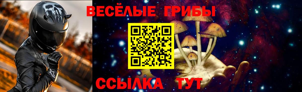 Псилоцибиновые грибы Psilocybine cubensis  Вход с VPN  Унеча  Псилоцибиновые грибы мицелий 